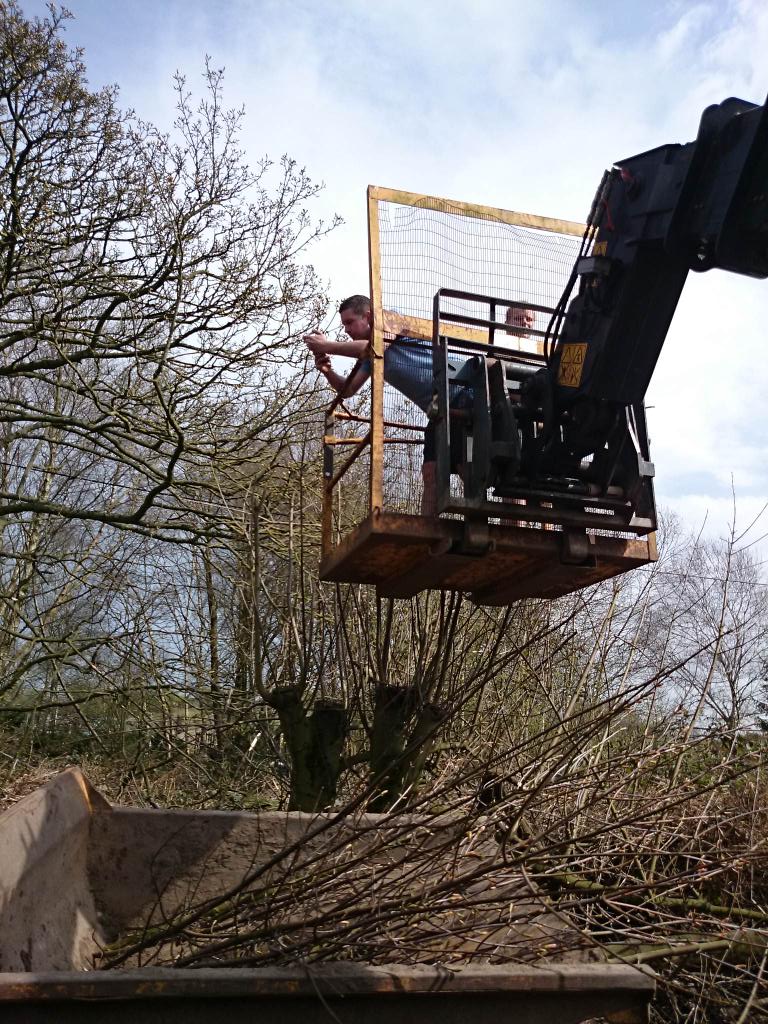 JackFelton's tweet photo. Watching these jarfoolays cutting trees http://t.co/yXx61OmeST