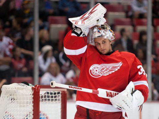 Red Wings Diehards™ tweet media