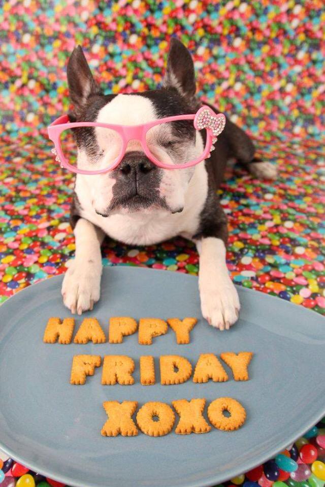 GoBigP2P's tweet photo. Happy Friday!! #TGIF http://t.co/QTQpb8kYfA