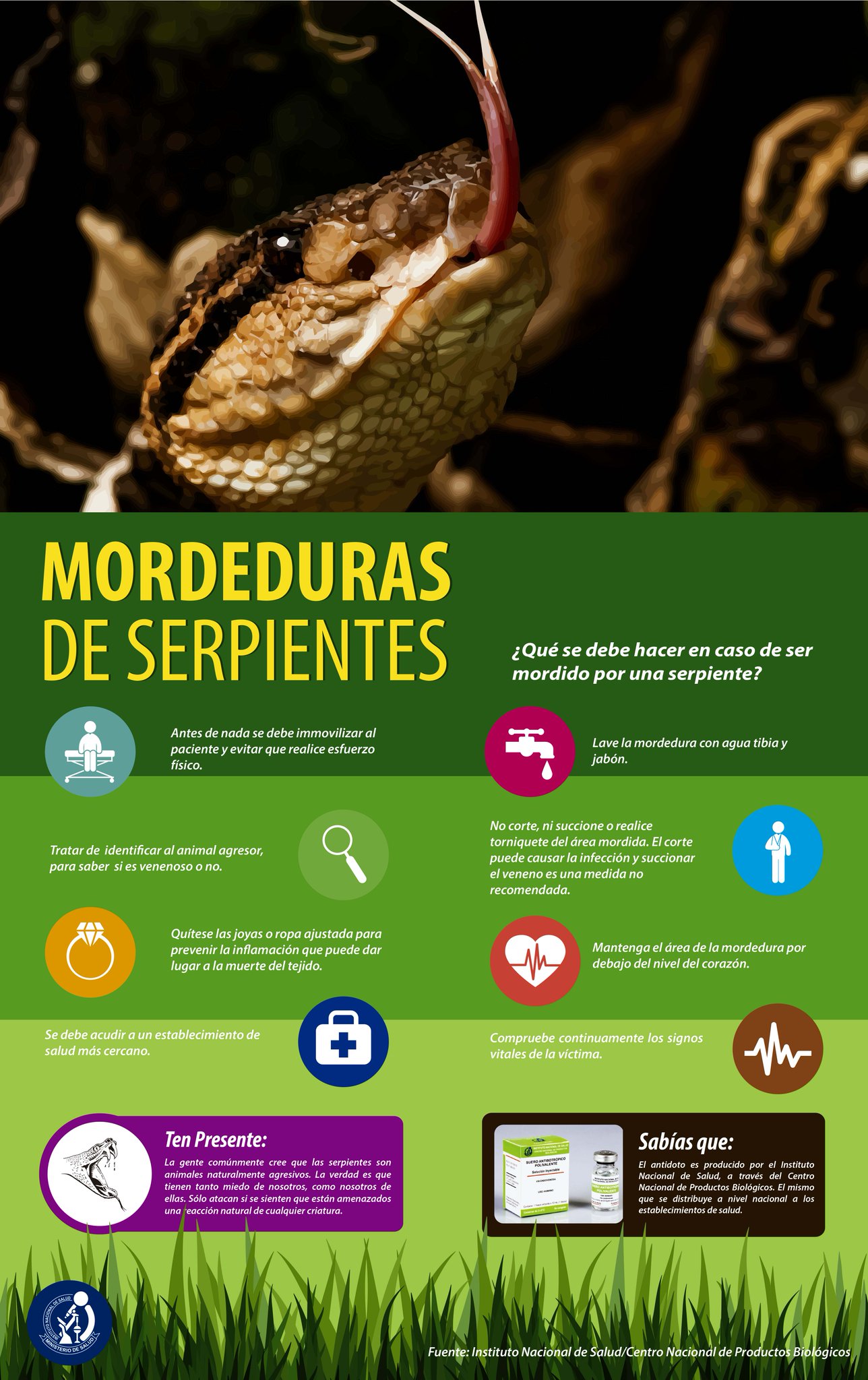 INS Per On Twitter SuerosAntiponzo osos Qu Hacer En Caso De 
