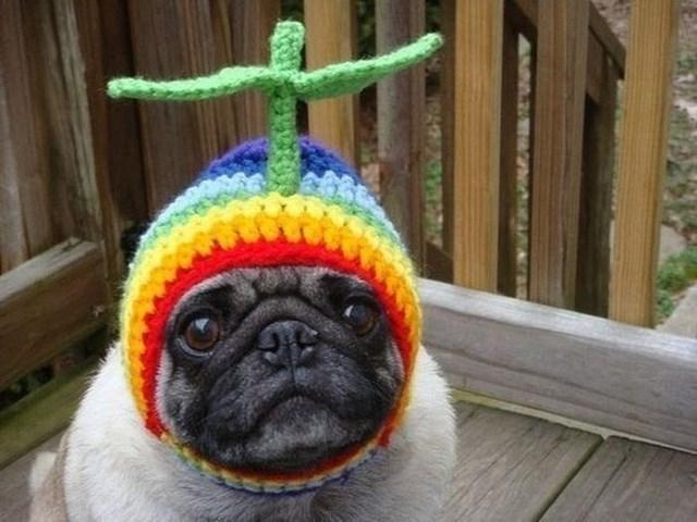 djdaniel_b's tweet photo. Current mood http://t.co/BFWacQZAZp