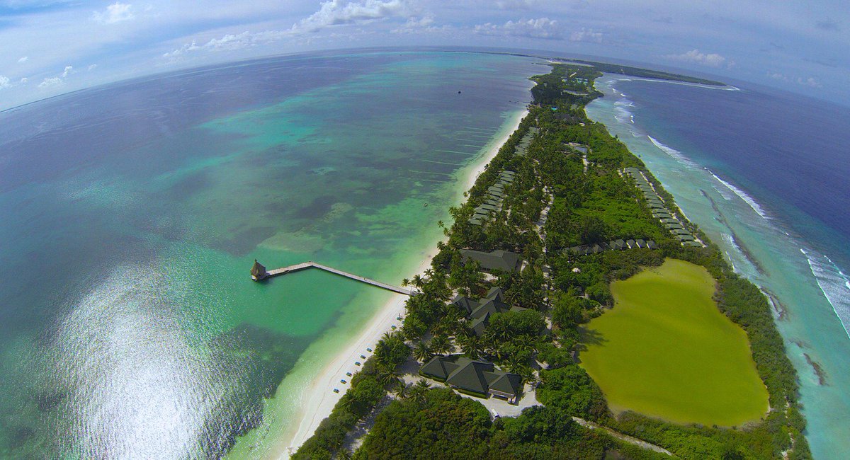 DiscoverAddu tweet picture