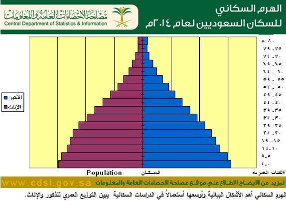 الهرم السكاني