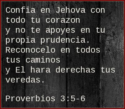 DevociónTotal.com tweet media
