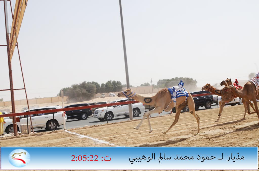 / أبناء السلطنة يسيطرون ويخطفون 17 سيارة من أصل 30 ضمن مهرجان خليجنا واحد للهجن بميدان المرموم. <a href="/aldarei_group/">قروب الدرعي</a>