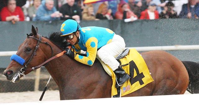 ABRLive's tweet photo. Make money betting American Pharoah in the #ArkansasDerby w/ these tips from @itsmevictoriag: http://t.co/25qrMdAZxY http://t.co/bmCBBc78Ah