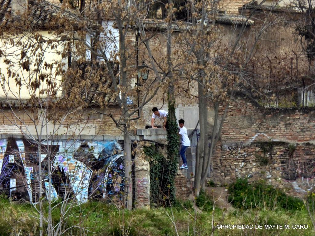 Mayte Martínez Caro tweet media