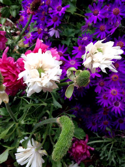 FrownieGirl's tweet image. Day 2 in #KC!! Seeing the world of @ChadFrownfelter!! #springbreak15