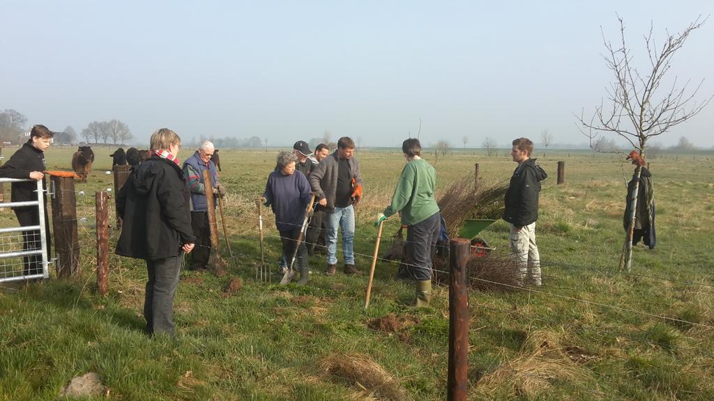 jwhvdijk's tweet photo. 20 vrijwilligers van VLO Zwolle en Avifauna Zwolle het landschap voor steenuilen verbeterd in Langenholte http://t.co/rZbC8BPHev