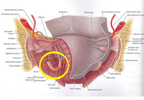 433 Graduation On Twitter Water Under The Bridge The