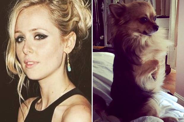 ESBest's tweet photo. Diana Vickers has been reunited with her missing pet, Biggie http://t.co/ElJO7wTmea http://t.co/A8V5hw5u5l