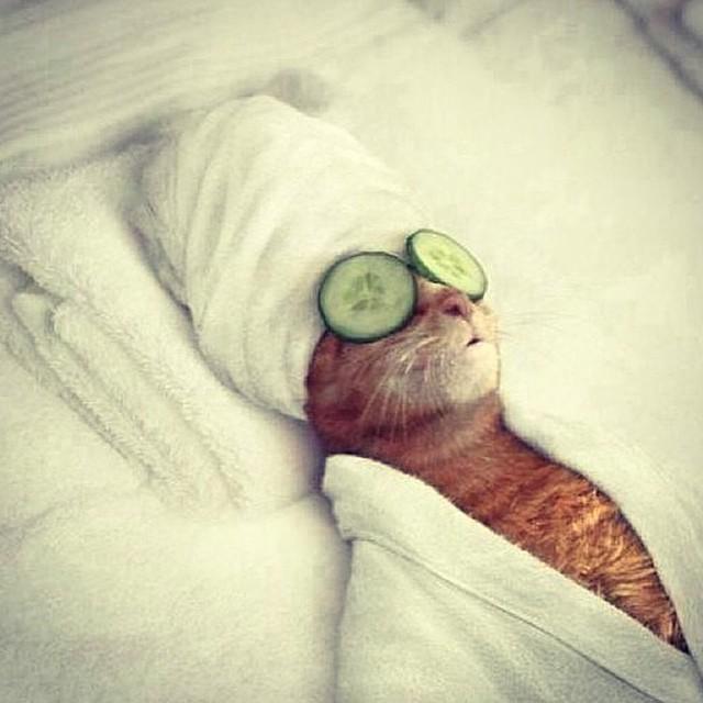 En een fijn weekend natuurlijk! :-)