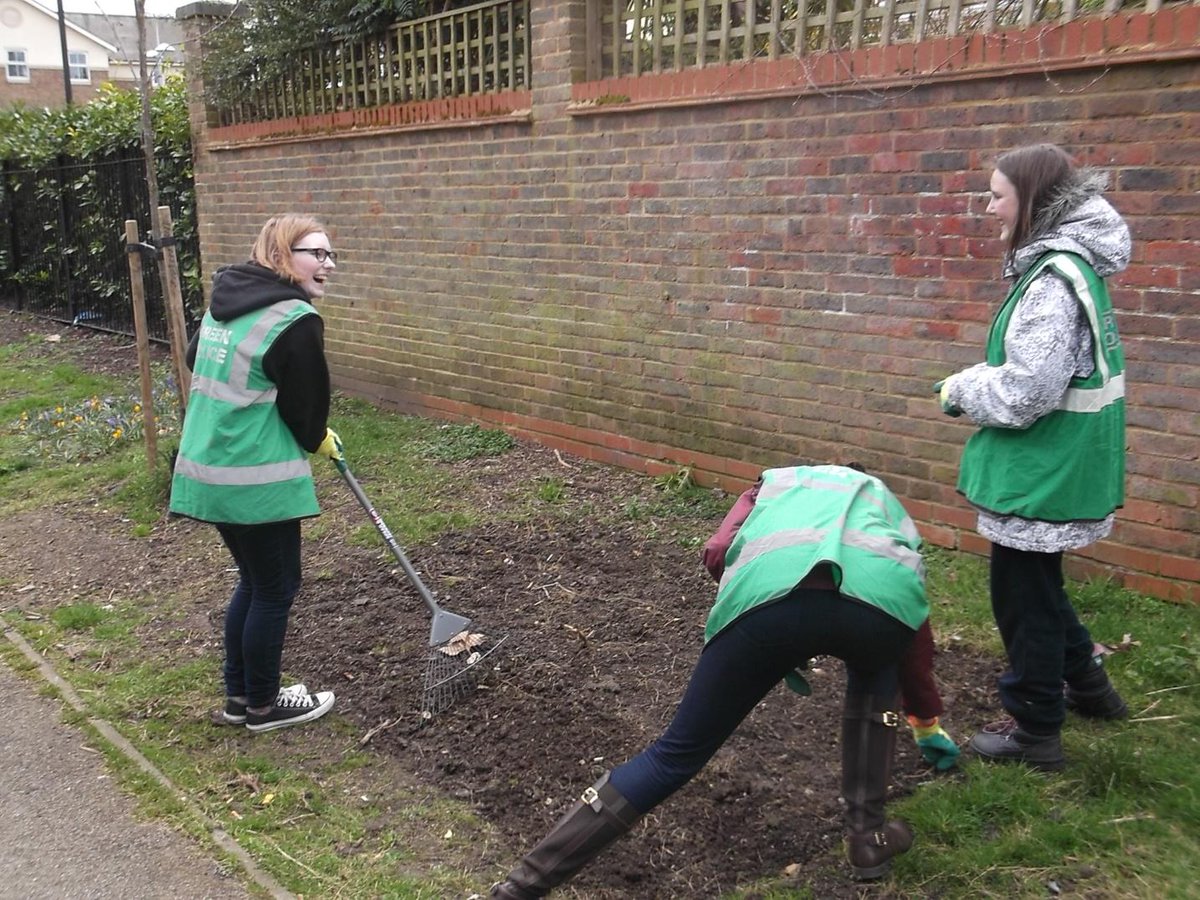 Young Place Shapers tweet media