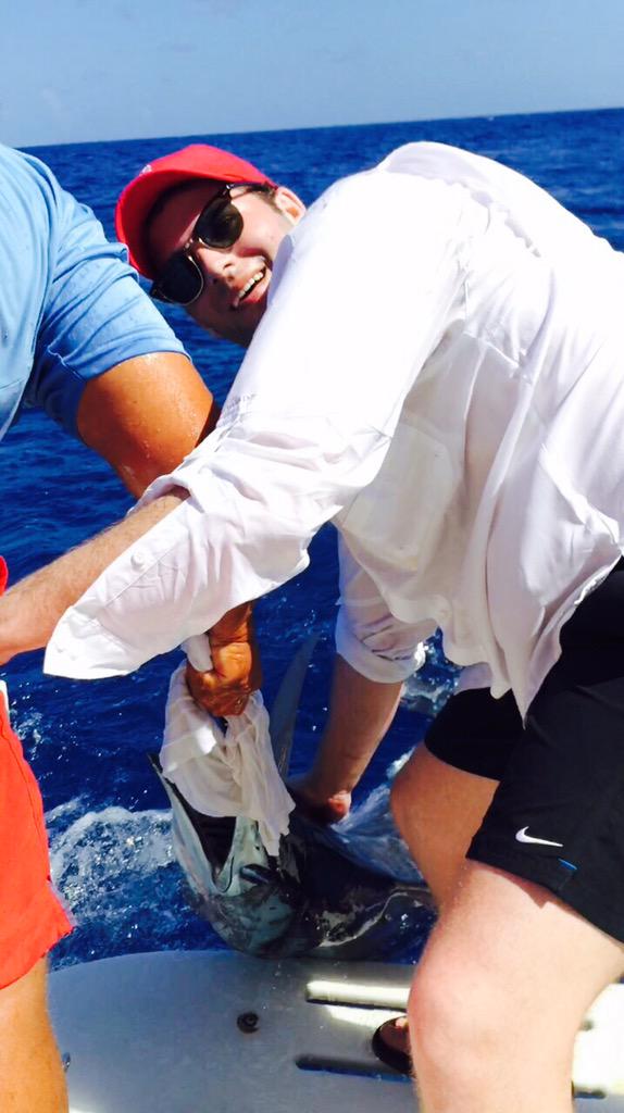 SlackemCharters's tweet photo. Blue Marlin release http://t.co/8Itkw45gSL