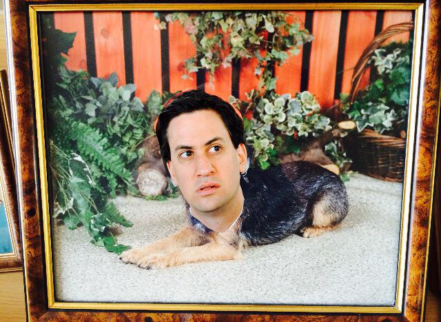 jonnot's tweet photo. I stuck Ed Miliband's face on my mum's family photos two days ago and she hasn't even noticed yet http://t.co/AJ5nCh8jdb