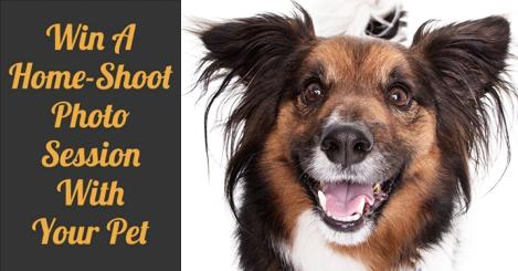 PhilMurrayPhoto's tweet photo. Check out @MyPetDirectory for your chance 2win one of my #Pet #Homeshoot Gift Cards!
Good luck!http://t.co/r0dbXq75KR http://t.co/8KNgDuKcWG