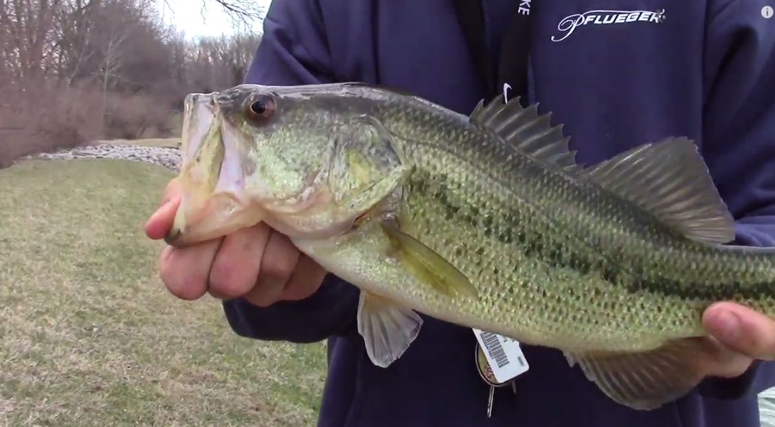 CatchHookedUp's tweet photo. Lipless Crankbaits worked like clockwork for @ColeWess last week...   #RainingBass  check it>>http://t.co/kPvijtnY4n http://t.co/R2NQpl3Rck