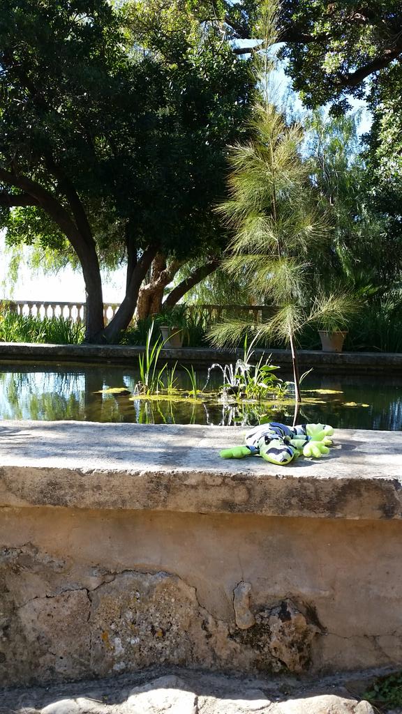 pekesmallorca's tweet image. Han visto a lagar cerca de #Palma. 
#excursionesconniños #mallorca #serratramuntana #turismonaturaleza