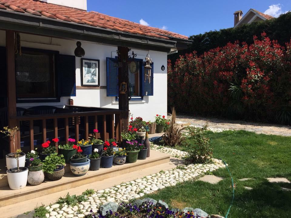 Sayın ÇİĞDEM UYAR çÖKMEZ'e bu güzel fotoğrafından dolayı TEŞEKKÜR ederiz.. Özellikle duvardaki tablo..