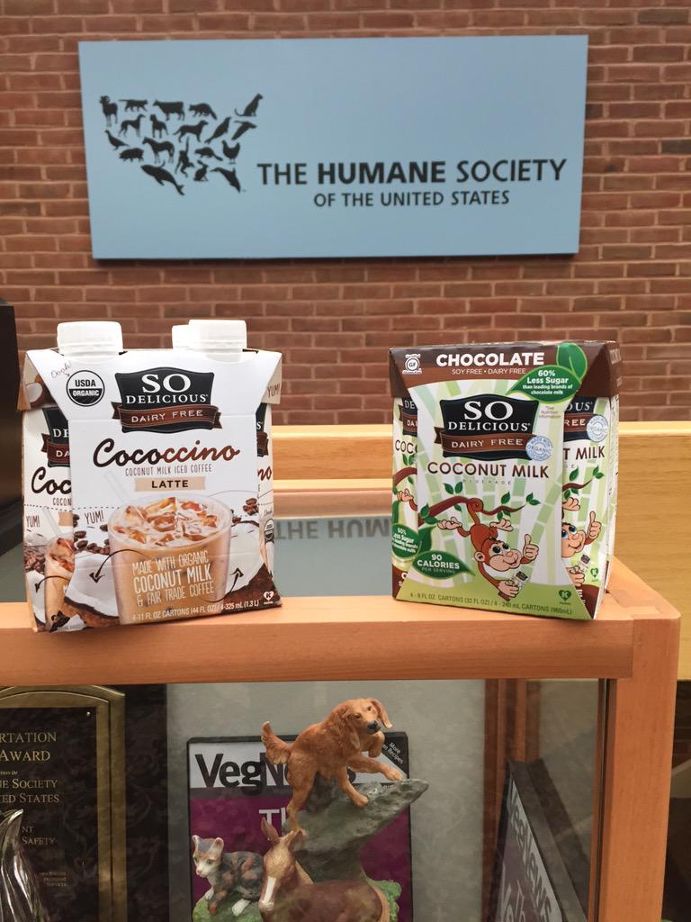 sodeast's tweet photo. Hanging out at the Humane Society of the United States today with our @So_Delicious goodies :)
#SoDEast #soddc http://t.co/o0SowHUDKN