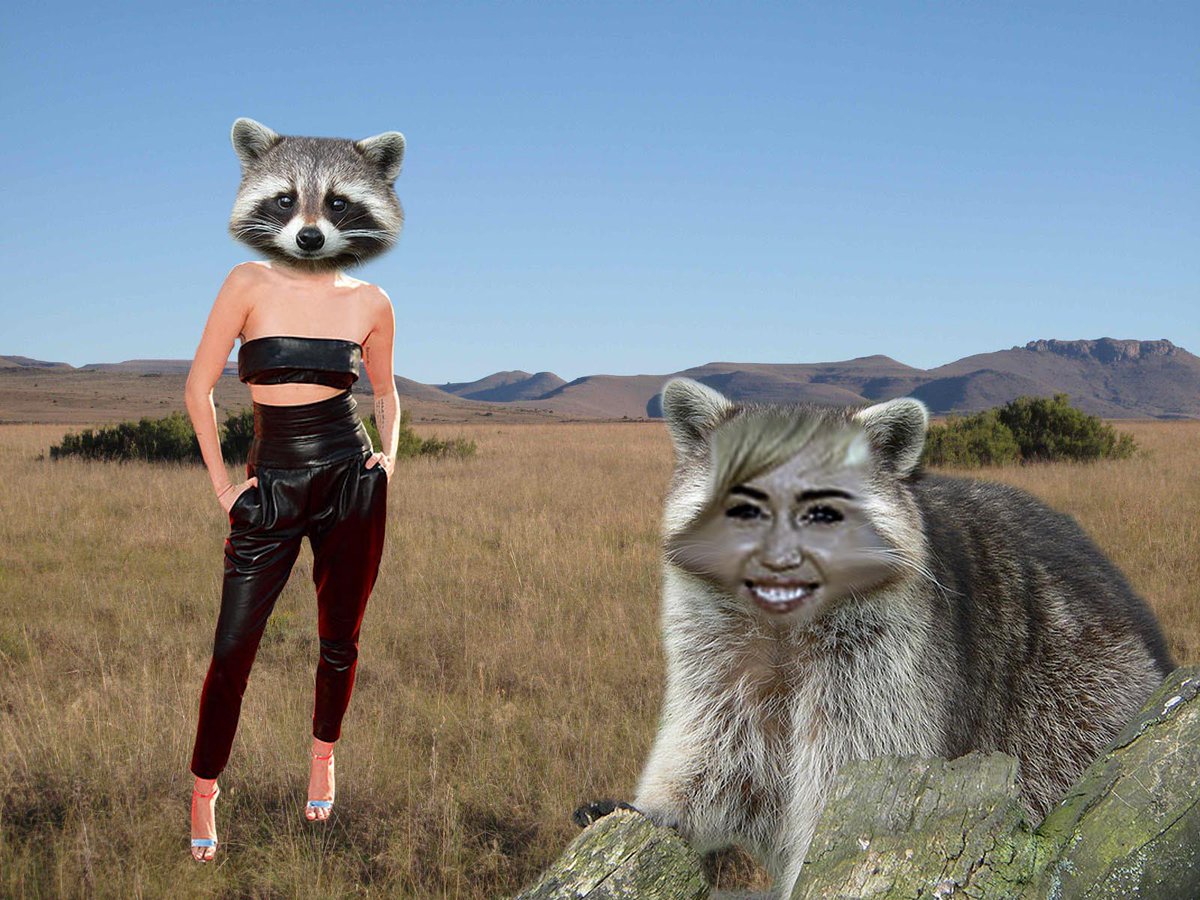 jaderose1616's tweet image. I don&apos;t know what I&apos;ve done... @MileyCyrus #photoshop #digitalartclass