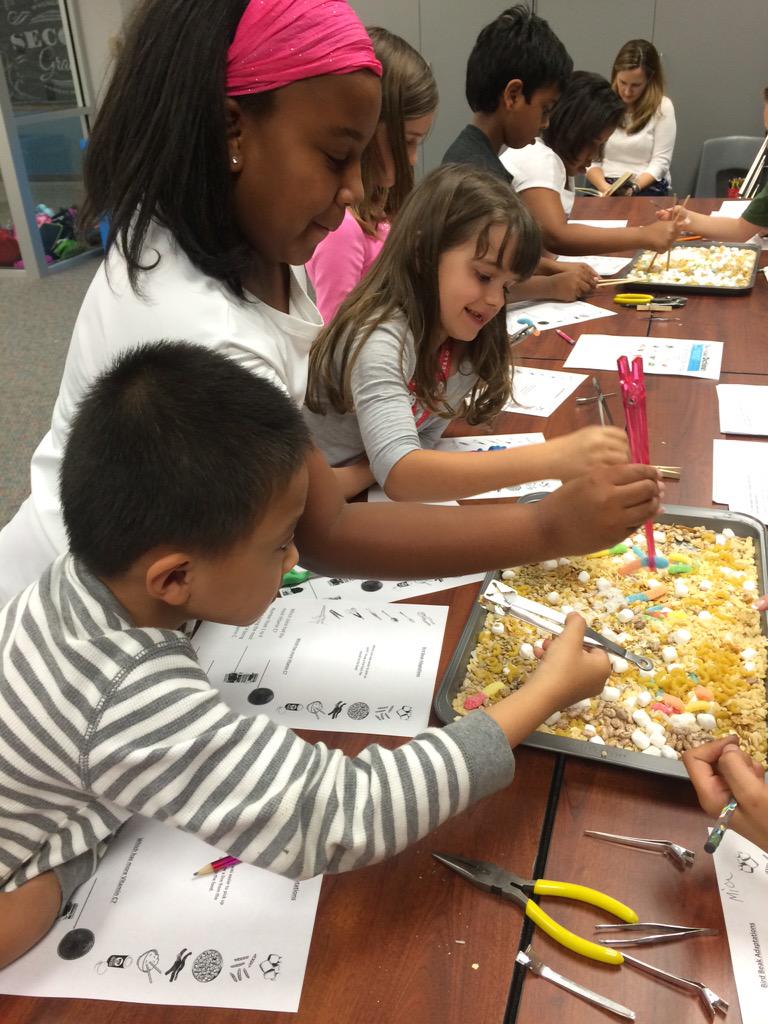 gabbyyy_Proc's tweet photo. Ranger Science going on at #wcerangers. So many fun &amp; exciting activities for my friends!! #LoveMySchoolDay http://t.co/o4kREfzdak