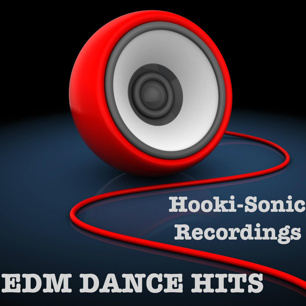 Hooki-Sonic Records tweet media