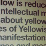 Photo by This Is Yellowism (@ThisIsYellowism)