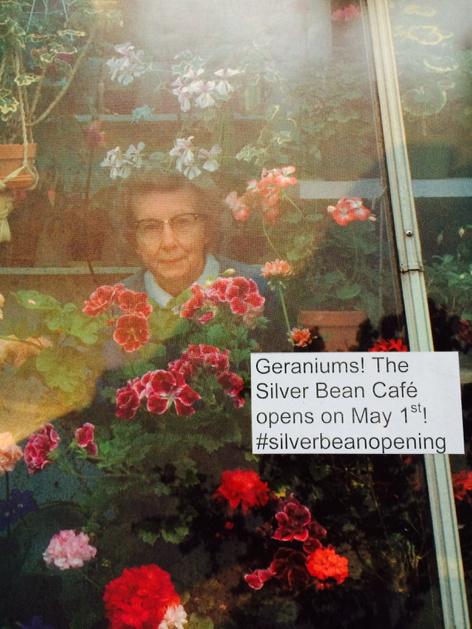 silverbeancafe's tweet photo. Geraniums! #silverbeanopening http://t.co/BF1tw1HzOH
