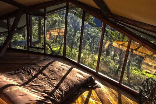 ChiIIVlbes's tweet photo. It'd be so dope to live in the jungle. http://t.co/WakKOELMSd