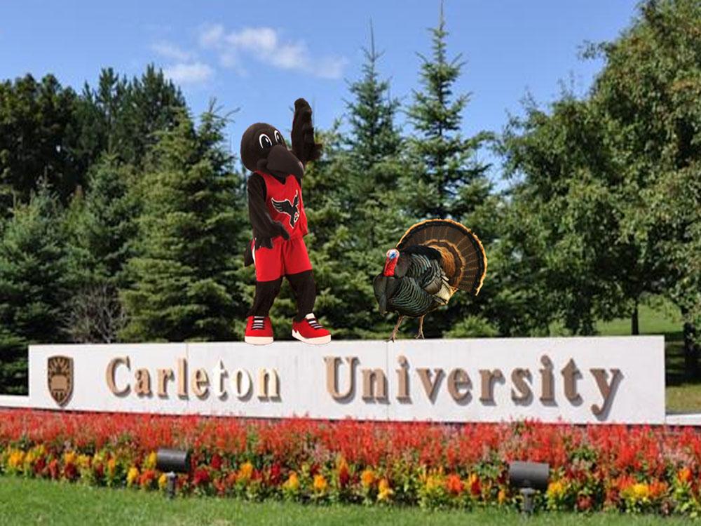 CU_Turkey's tweet photo. @CURavens best bros since day 1!  #NationalSiblingsDay #ballin #gobble http://t.co/5U0WEQkp9S