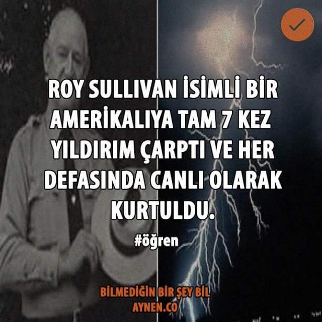 aynen_co's tweet photo. En son aşk acısından intihar ederek ölmüş 😯 #aynen #öğren #aynenco #yıldırım #RoySullivan #ölüm #ölümsüz #şans http://t.co/sLtuJfMKPI