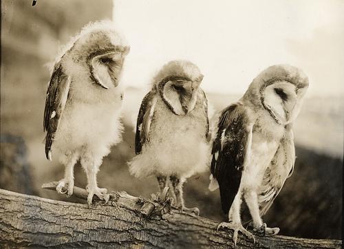 Brainpickings: Happy birthday, Anne Lamott! The beloved writer on how perfectionism kills our creativity 