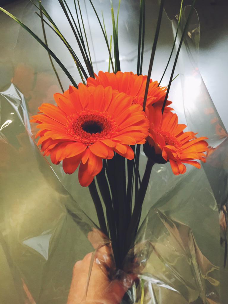 Permalink til innebygd bilde