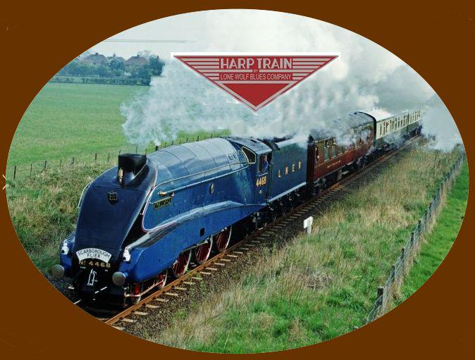 harmonicasdirct's tweet photo. THE HARP TRAIN 10 is available to order now and steaming your way next week.
http://t.co/2SlGU0ELb5
#Harp Train 10 http://t.co/FaTLgSNmBy