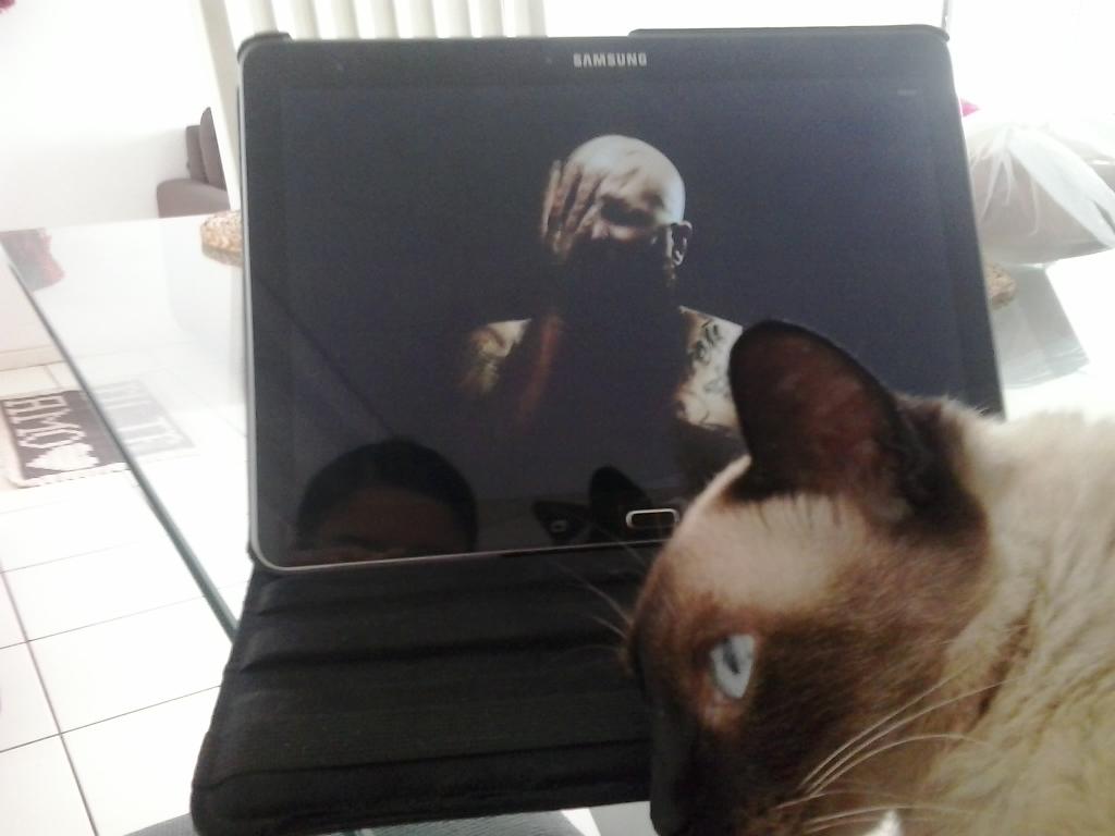 rcstrv's tweet photo. #Lifewar @DemonHunter_Br @demonhunterband 🎶🎶🎶🎶 http://t.co/aZy5XUnMxq