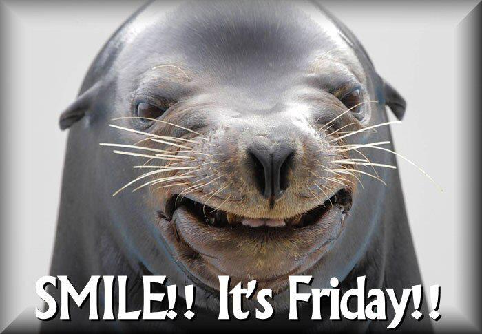 gregshellstrohm's tweet image. #TGIF