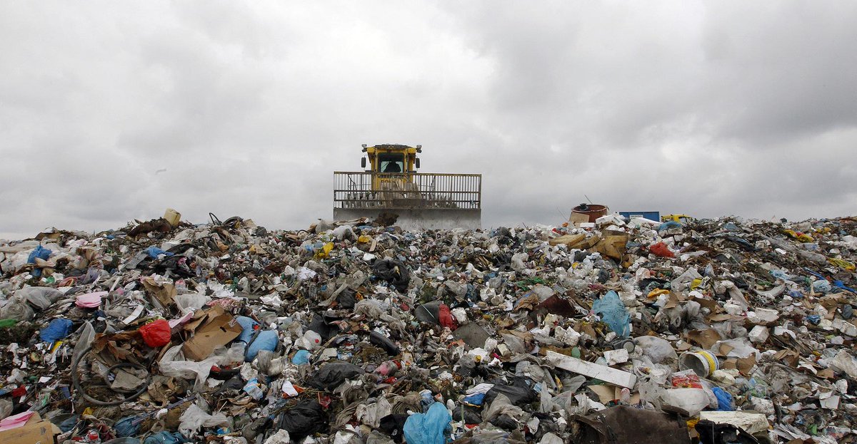 World Economic Forum tweet media