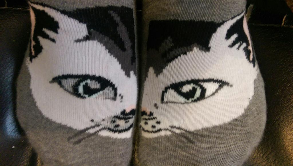 itsjustzodi's tweet photo. One of the eyes is white but the other is grey. What? These came together did they just not bother with one of them? http://t.co/Ash5tfPQEa