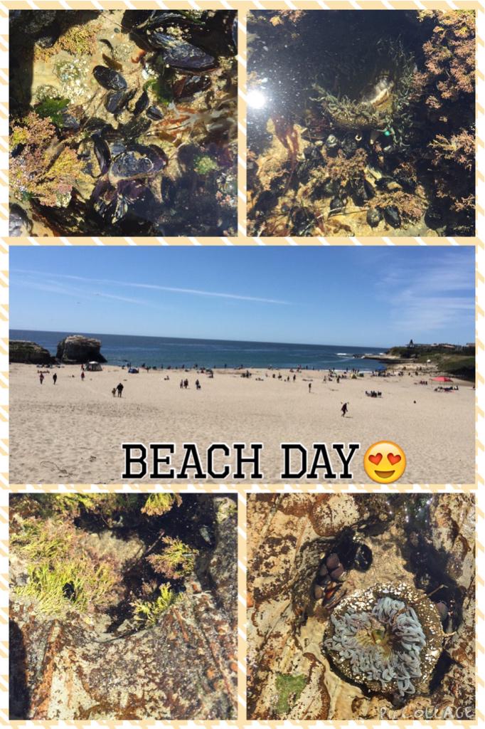 Great day to explore