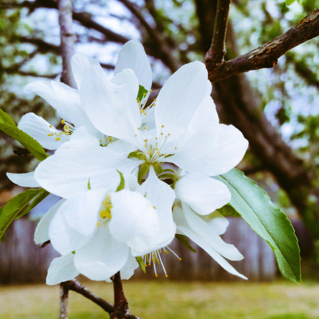 LamineSN's tweet image. #cnnspring