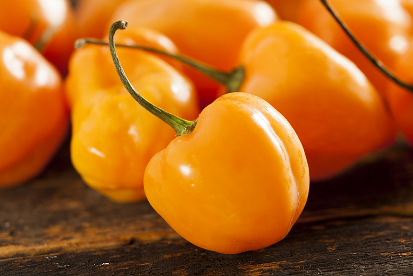gobmx's tweet photo. El #chile habanero de #Yucatán cuenta con denominación de origen. http://t.co/2049Rydbv5 @SAGARPA_mx