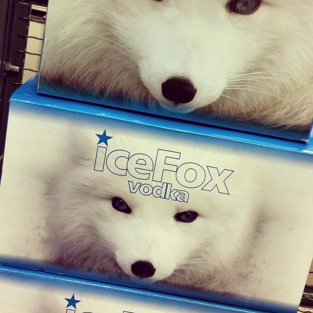 Packing our bags packed for the @wswaconvention in #orlando! #Friday #Roadtrippin #Vodka #FoxyFriday