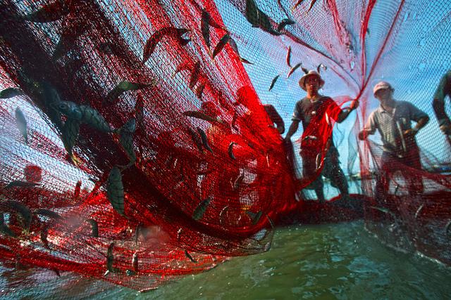 UNDP's tweet photo. #FlashbackFriday: 2010 End Poverty Photo Contest winner Tran Vinh Nghia's "Daily Work" from #VietNam http://t.co/pqeqkO9PZS