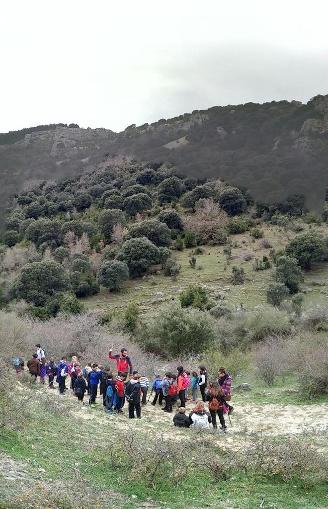 basabere tweet media