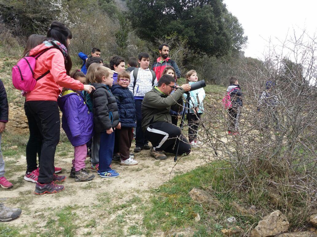 basabere tweet media