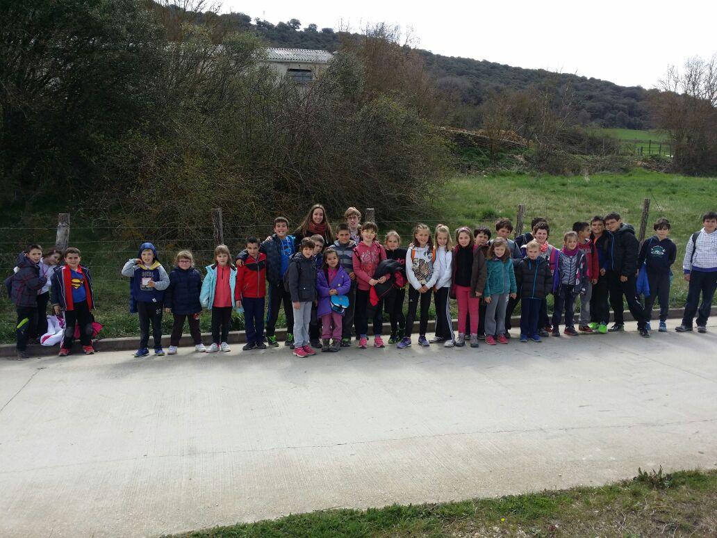 basabere tweet media