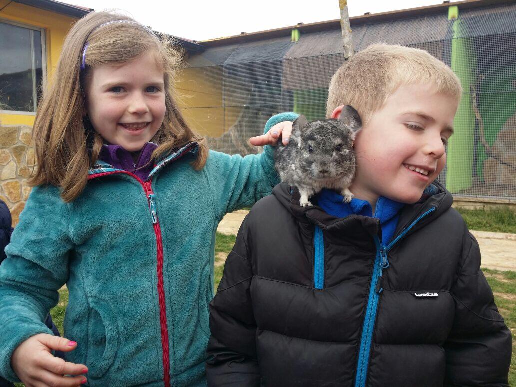 basabere tweet media