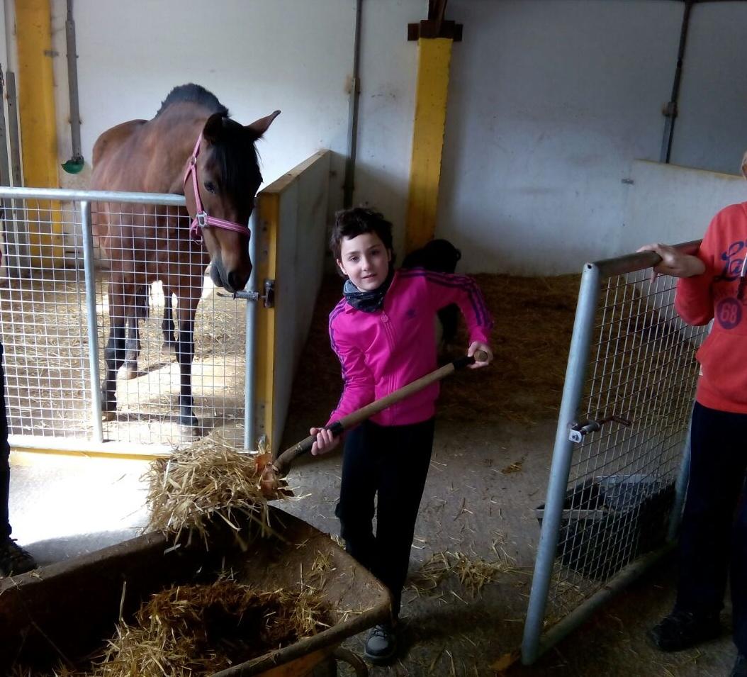 basabere tweet media