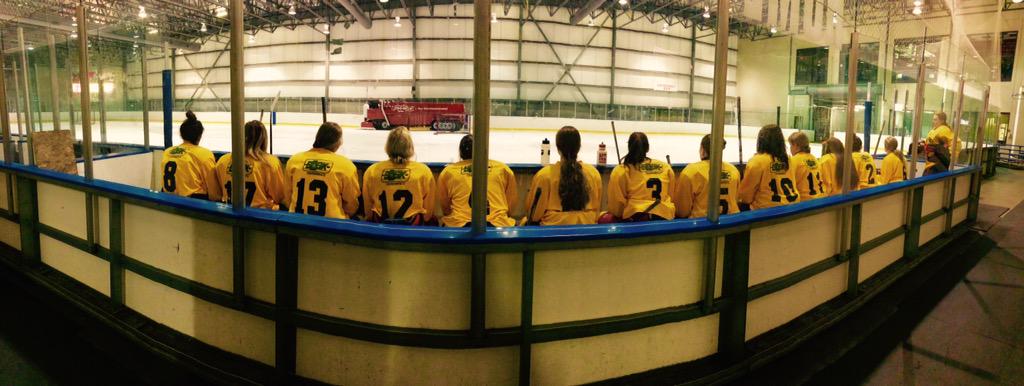 Gold Diggers For Real #GDFR #SaskFirst15 #hockey
